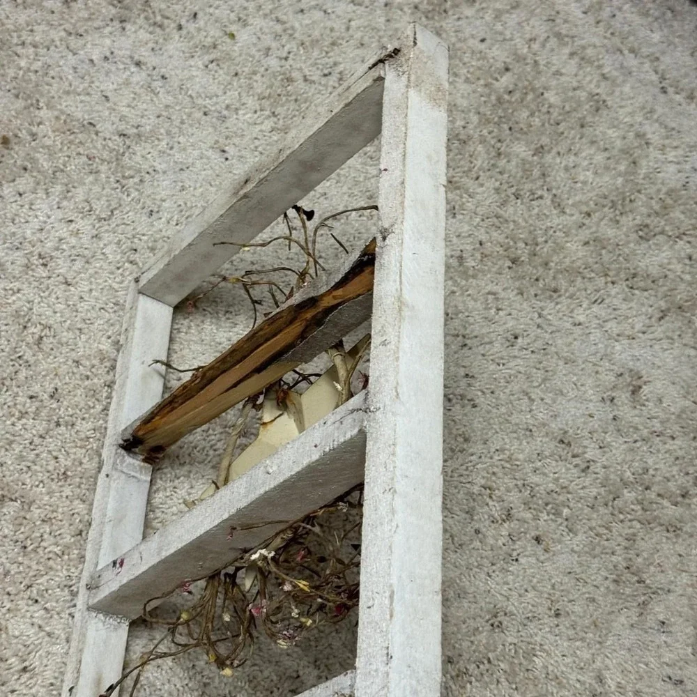 Primitive Rustic White Wood Window Frame Wall Decor Barn Star Pip Berry 16x12 - Picture 4 of 8